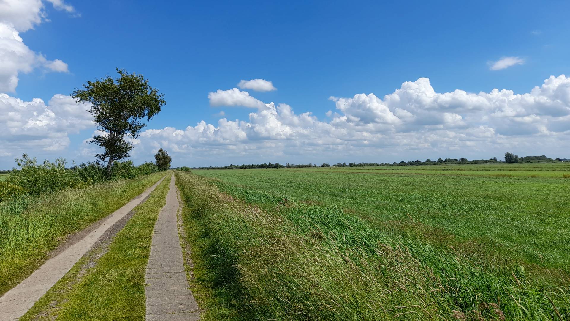Weg zwischen Wiesen entland unter blauem Sommerhimmel. 