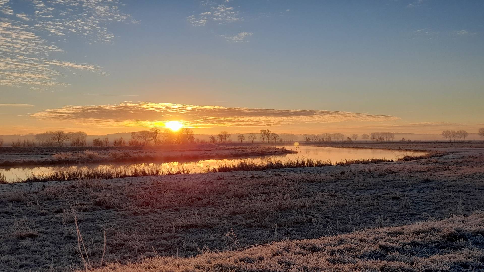 Tierkommunikatorin Johanna Fleischmann wartet im Zoom-Raum auf ihre Teilnehmerinnen des Basiskurses.