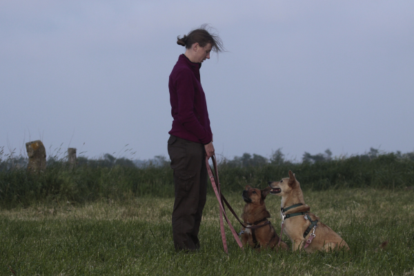 Tierkommunikatorin Johanna Fleischmann mit ihren Hunden auf einer Wiese beim Training.