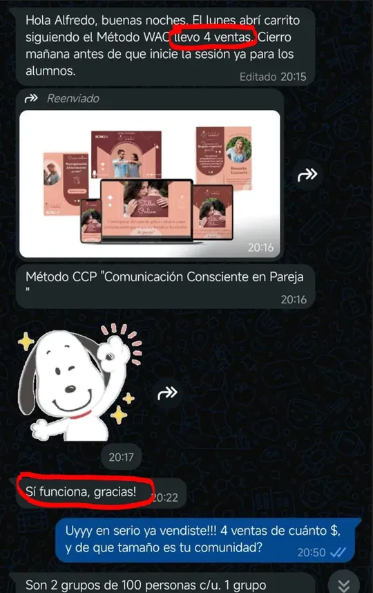 Chat de Rosario con sus ventas