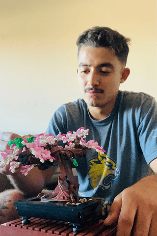 blog owner building the lego bonsai tree
