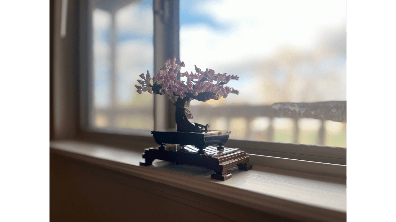lego bosai tree set elegantly displayed on window sill to spark conversations