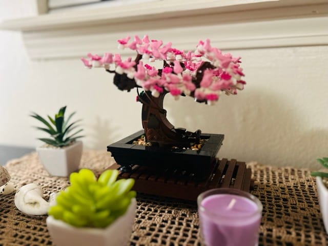 LEGO Bonsai tree elegantly display on the windowsill 