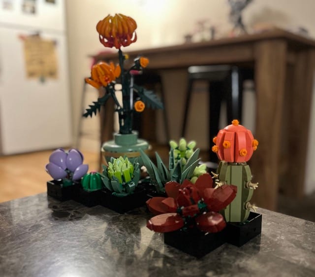 LEGO Botanicals - Succulents