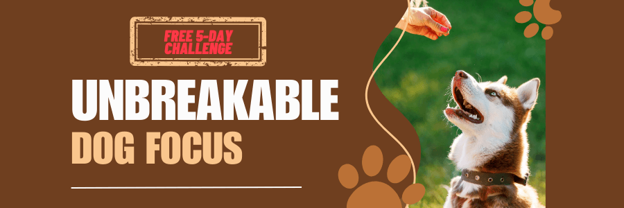 Unbreakable Dog Focus Challenge - Free 5-Day Program for Dog Owners