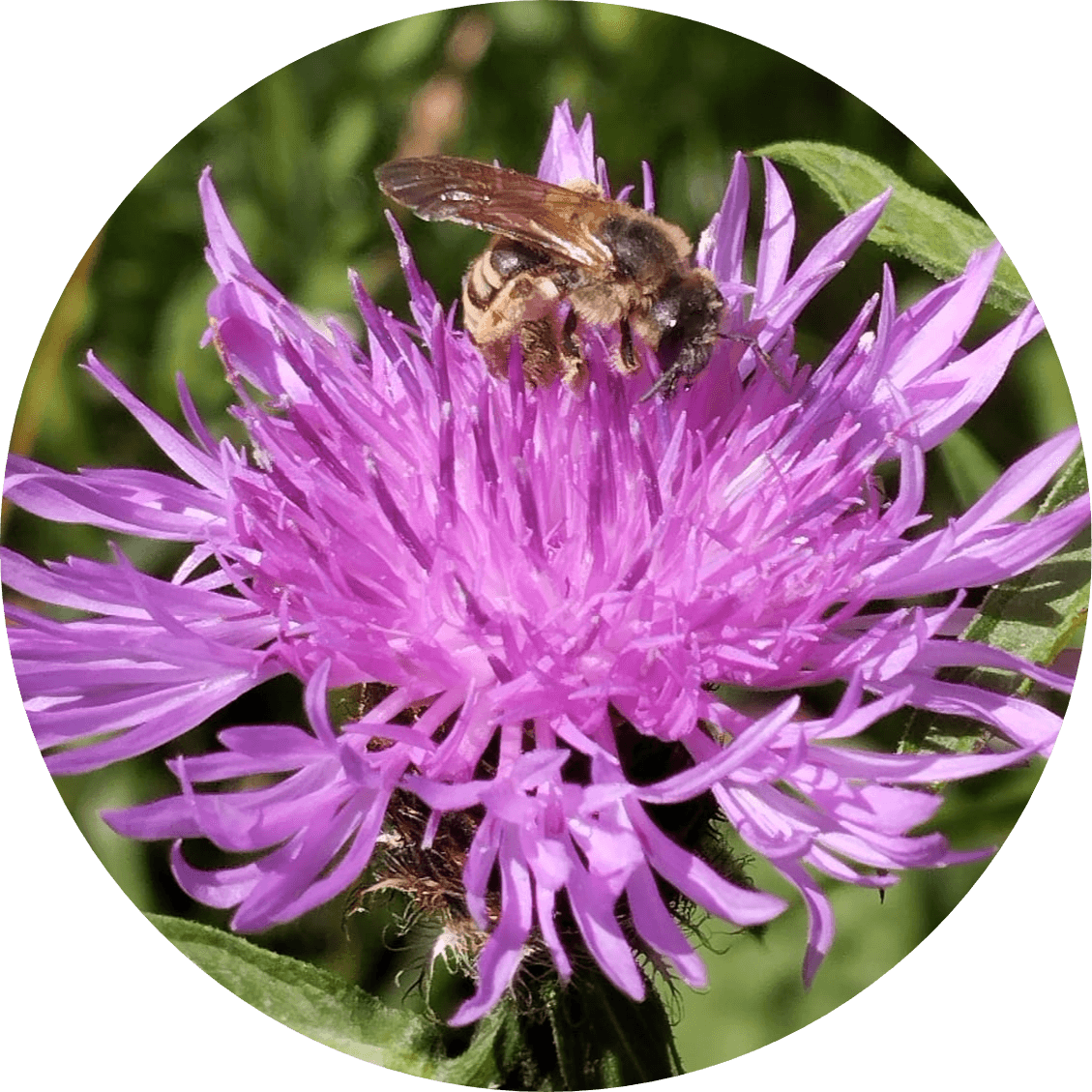 "Notre Nature au fil des Saisons"