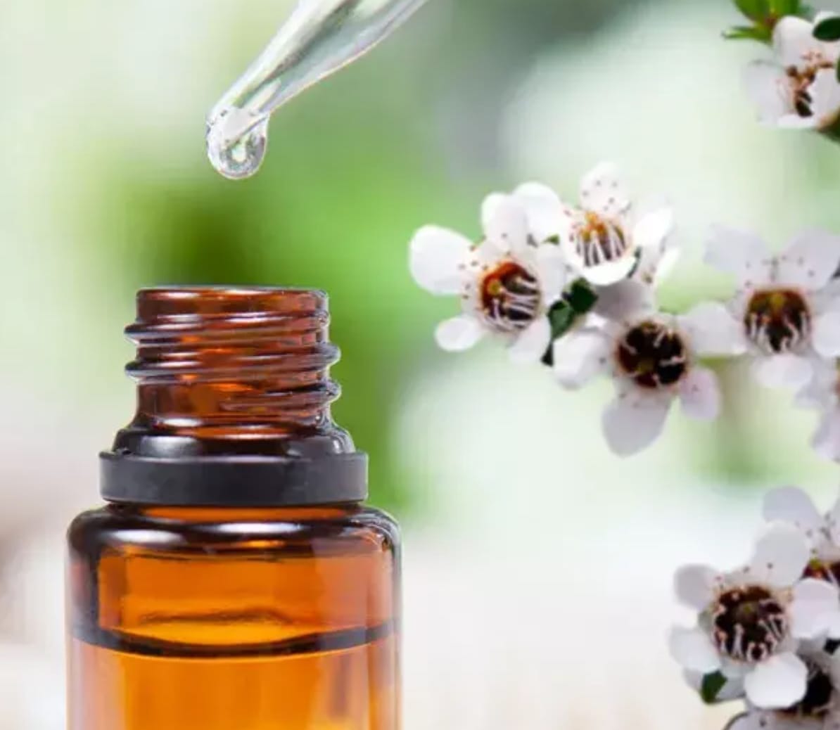 tea tree essential oil