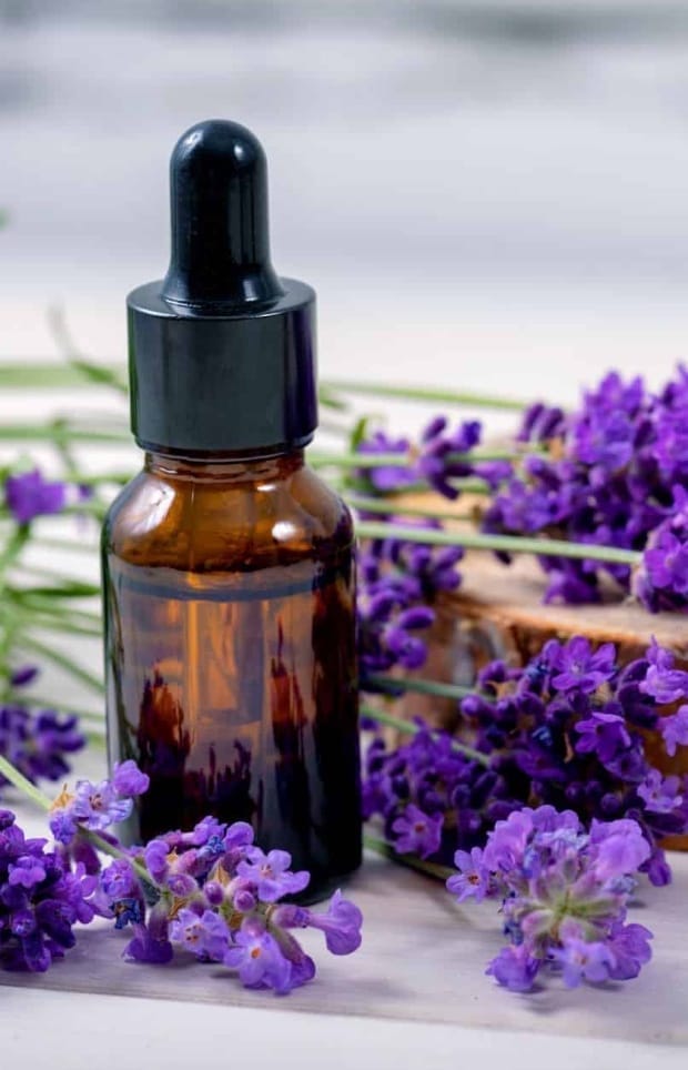 lavender essential oil