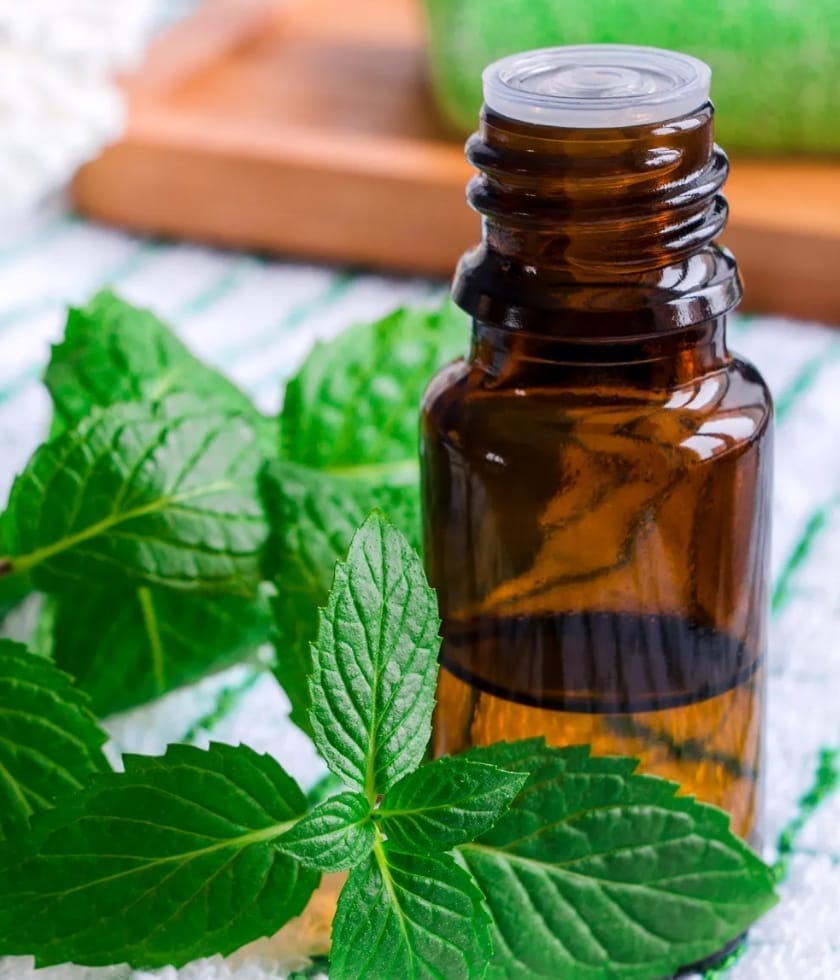 peppermint essential oil