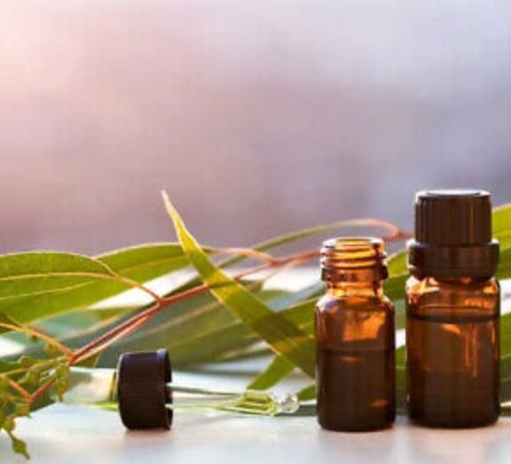eucalyptus essential oil