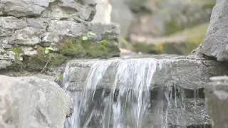 Vivre en lâchant prise