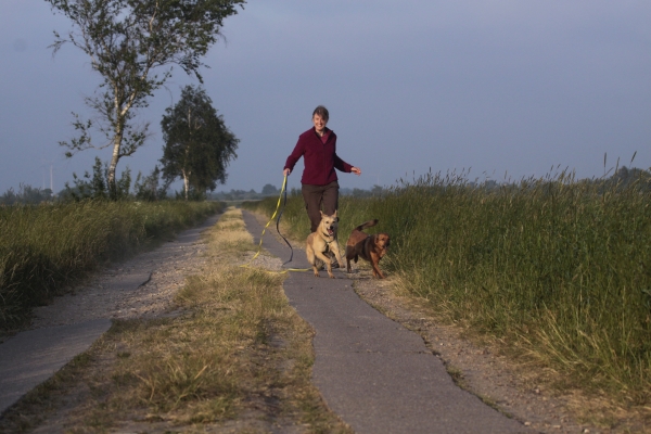 Mobiles Hundetraining Husum – Hunde lernen alltagsnah beim Spaziergang