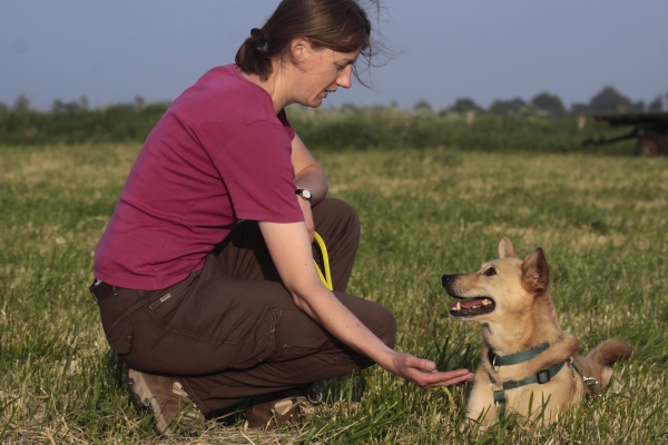 Hundeerziehung Husum – Hundetrainerin Johanna Fleischmann stärkt Bindung und Vertrauen