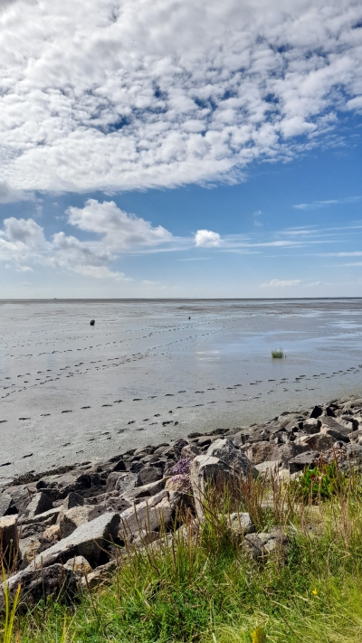 An der Nordsee bei Ebbe. 