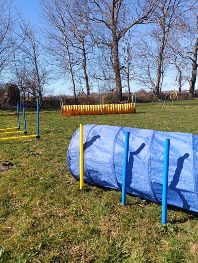 In der Hundeschule von Johanna Fleischmann wird der Parcours für die Freizeit-Agility-Gruppe aufgebaut.