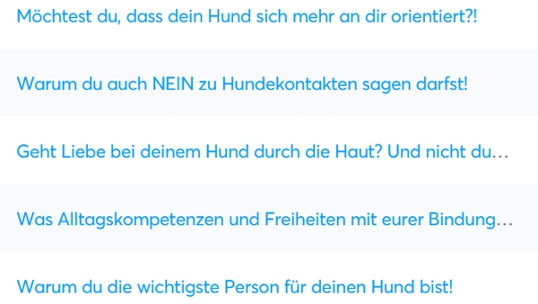 Zwei Hunde schnüffeln gemeinsam entspannt auf einer Wiese bei einem ruhigen Spaziergang vor Silvester.