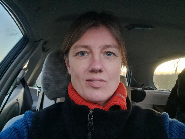 Zwei Hunde schnüffeln gemeinsam entspannt auf einer Wiese bei einem ruhigen Spaziergang vor Silvester.