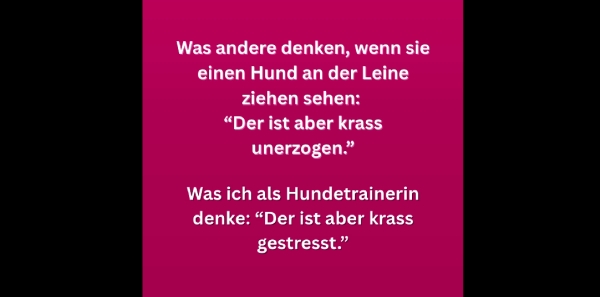 Grafik mit dem Text Was andere denken, wenn sie einen Hund an der Leine ziehen sehen: "Der ist aber krass unerzogen." Was ich als Hundetrainerin denke: "Der ist aber krass gestresst."