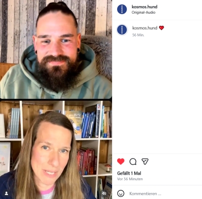 Angeleinter Hund auf verschneiter Straße neben Schneeverwehungen.