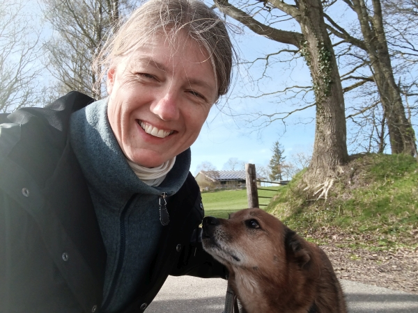 Zwei Hunde an der Leine auf einer verschneiten Straße.