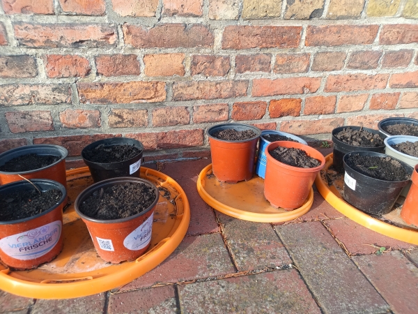 Hundebuch Problem Hund - Vom Umgang mit herausfordernden Hunden