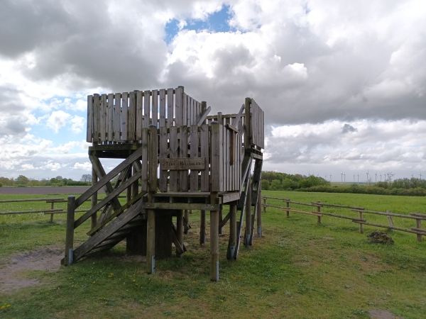Holzturm vor Wiesen und bewölktem Himmel.