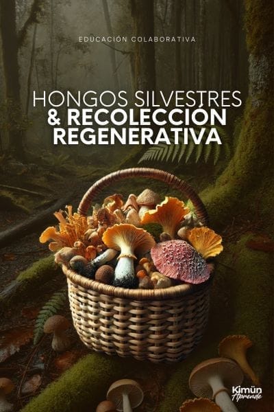 Hongos Silvestres Comestibles