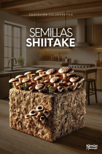 Cultivo de Shiitake