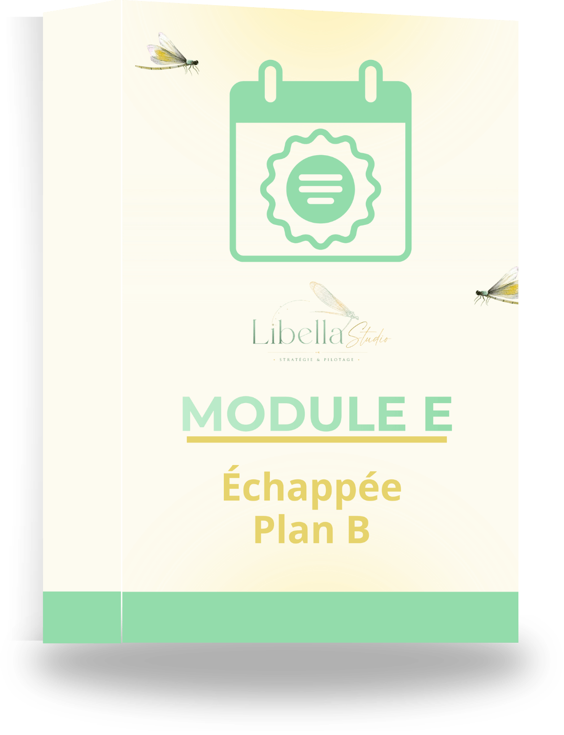 Module E - Plan B