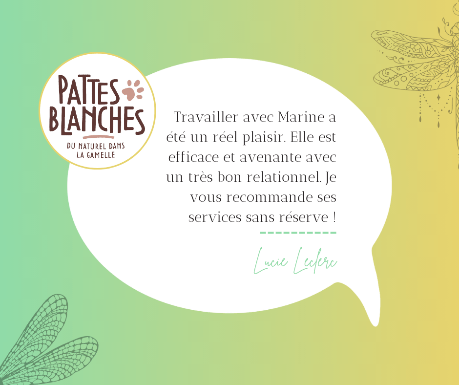 Témoignage Pattes Blanches Nutrition