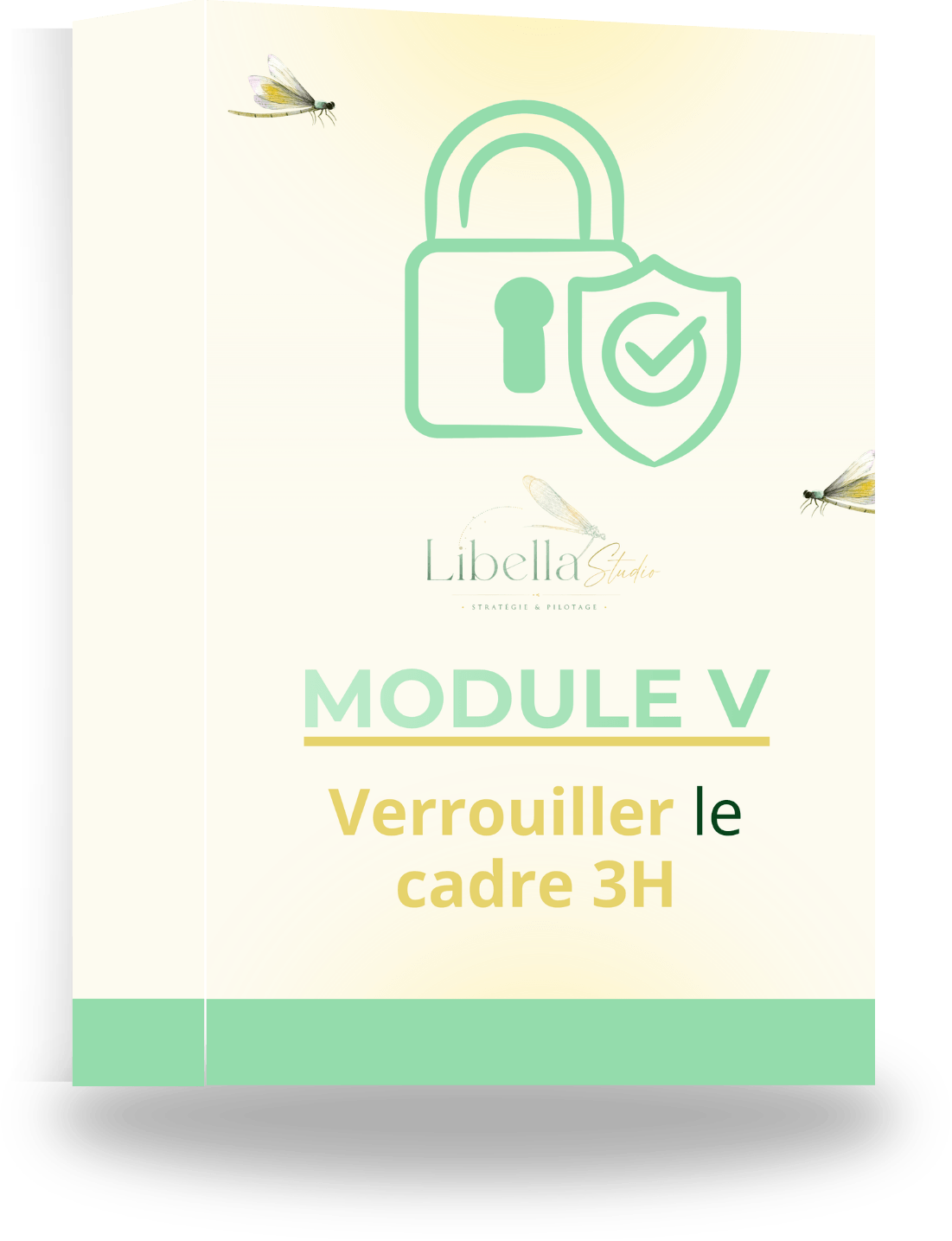 Module V