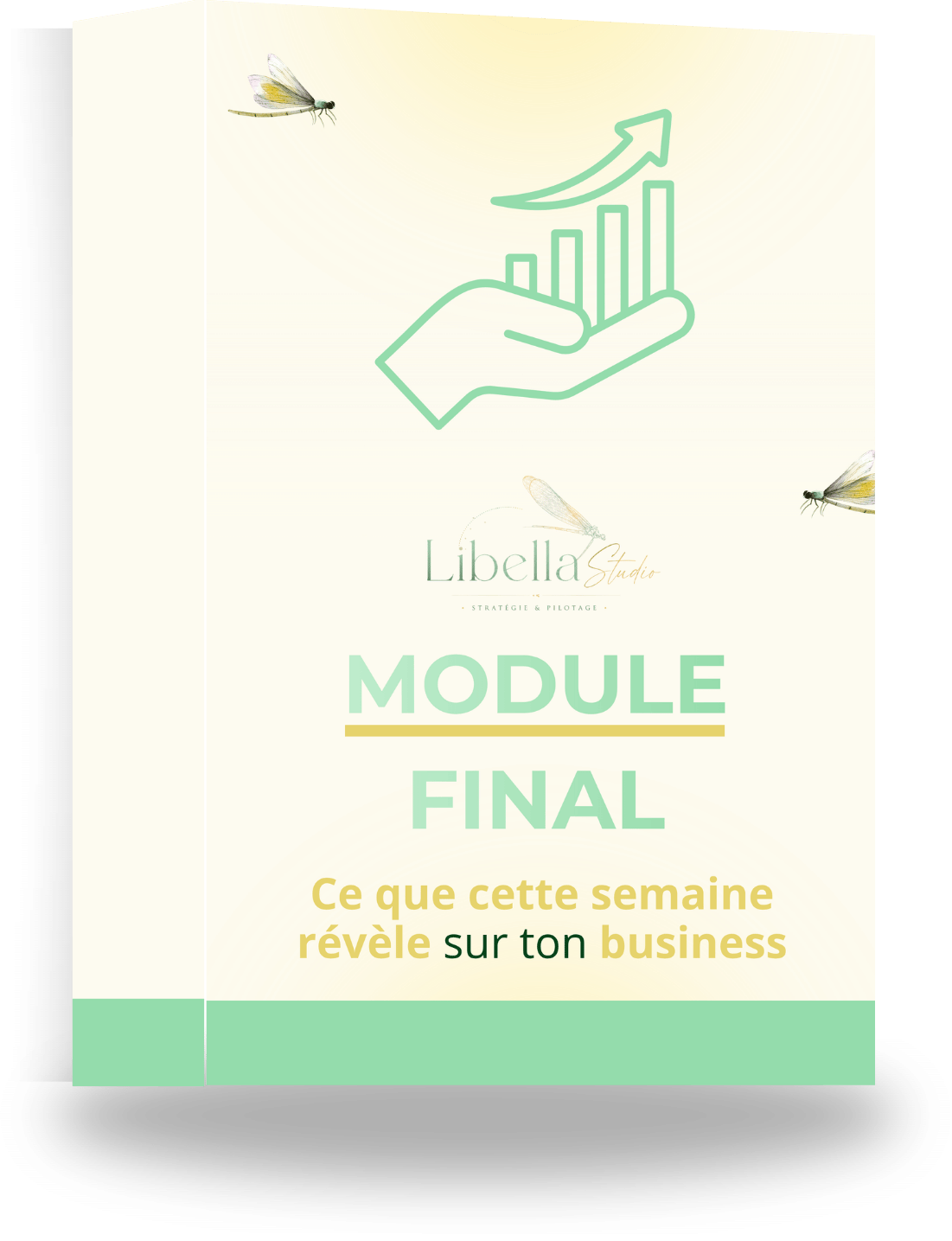 Module final