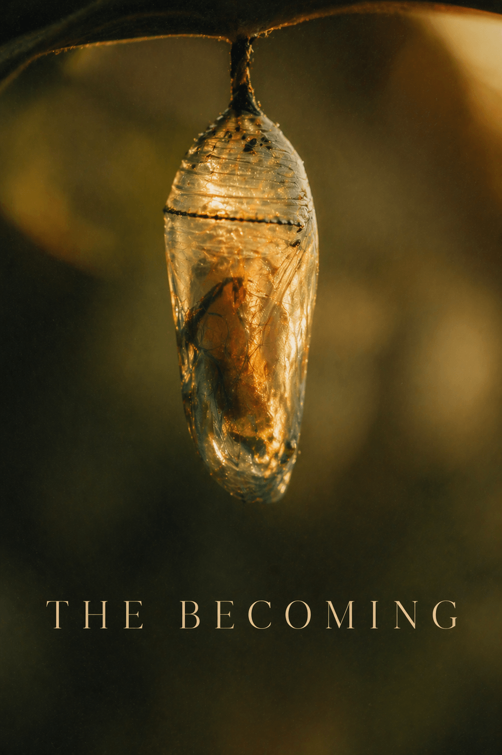 The Becoming