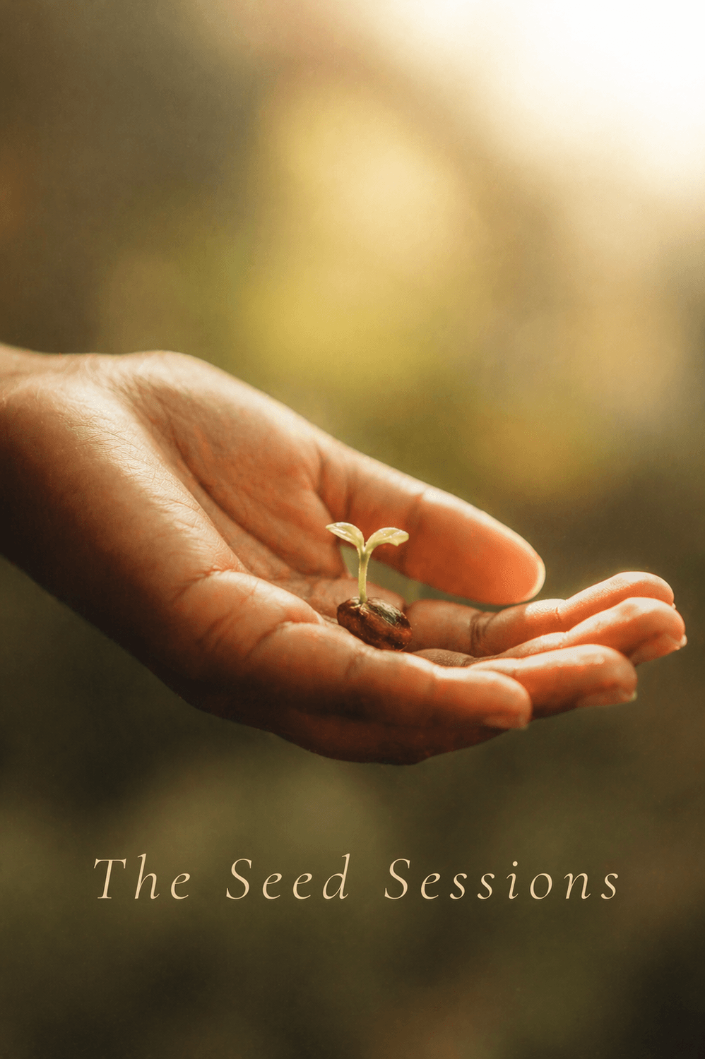 Seed Sessions