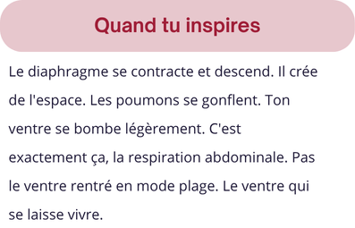 Le diaphragme, muscle clé de la respiration en chant