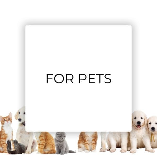 pets, pet care, canine, cats, hip joint, shampoo