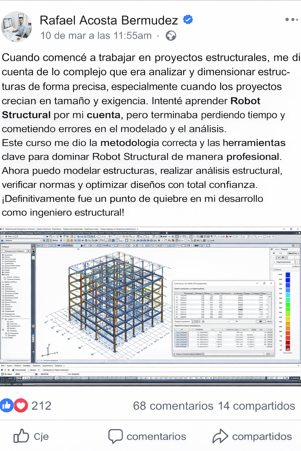 Robot Structural Pro - contenido 23