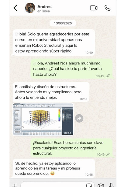 Robot Structural Pro - contenido 20