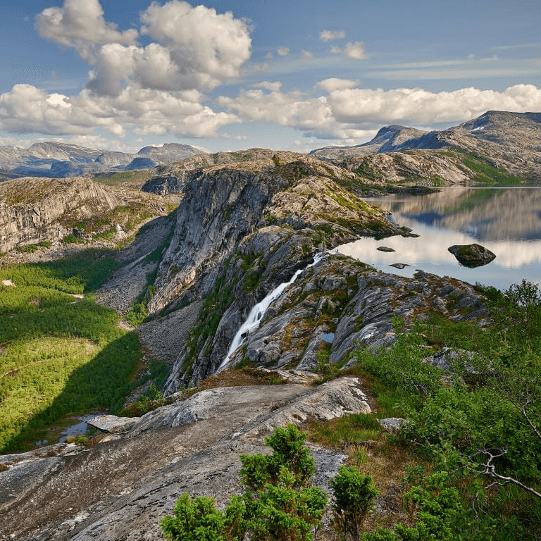Abonner på vårt nyhetsbrev