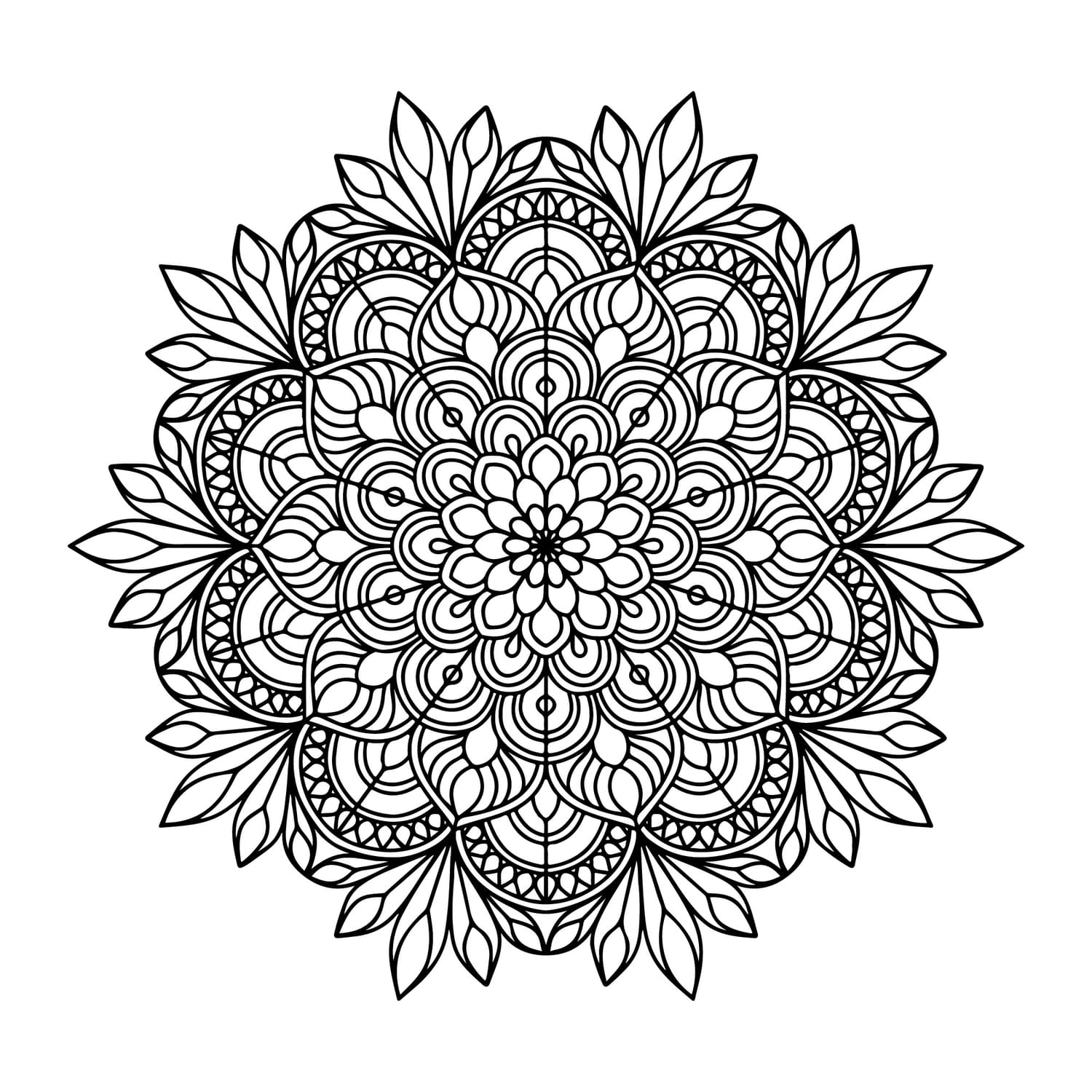 MDL-055