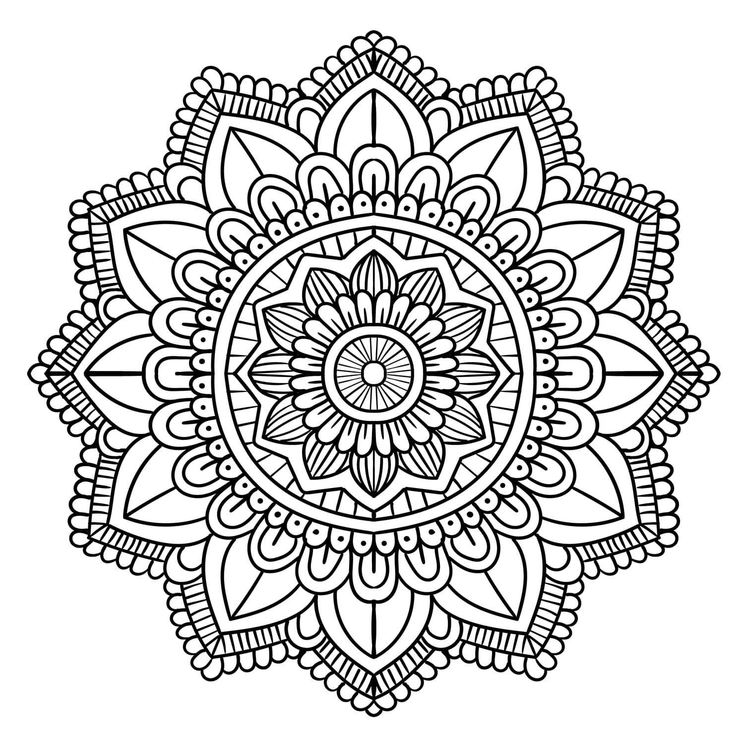 MDL-080