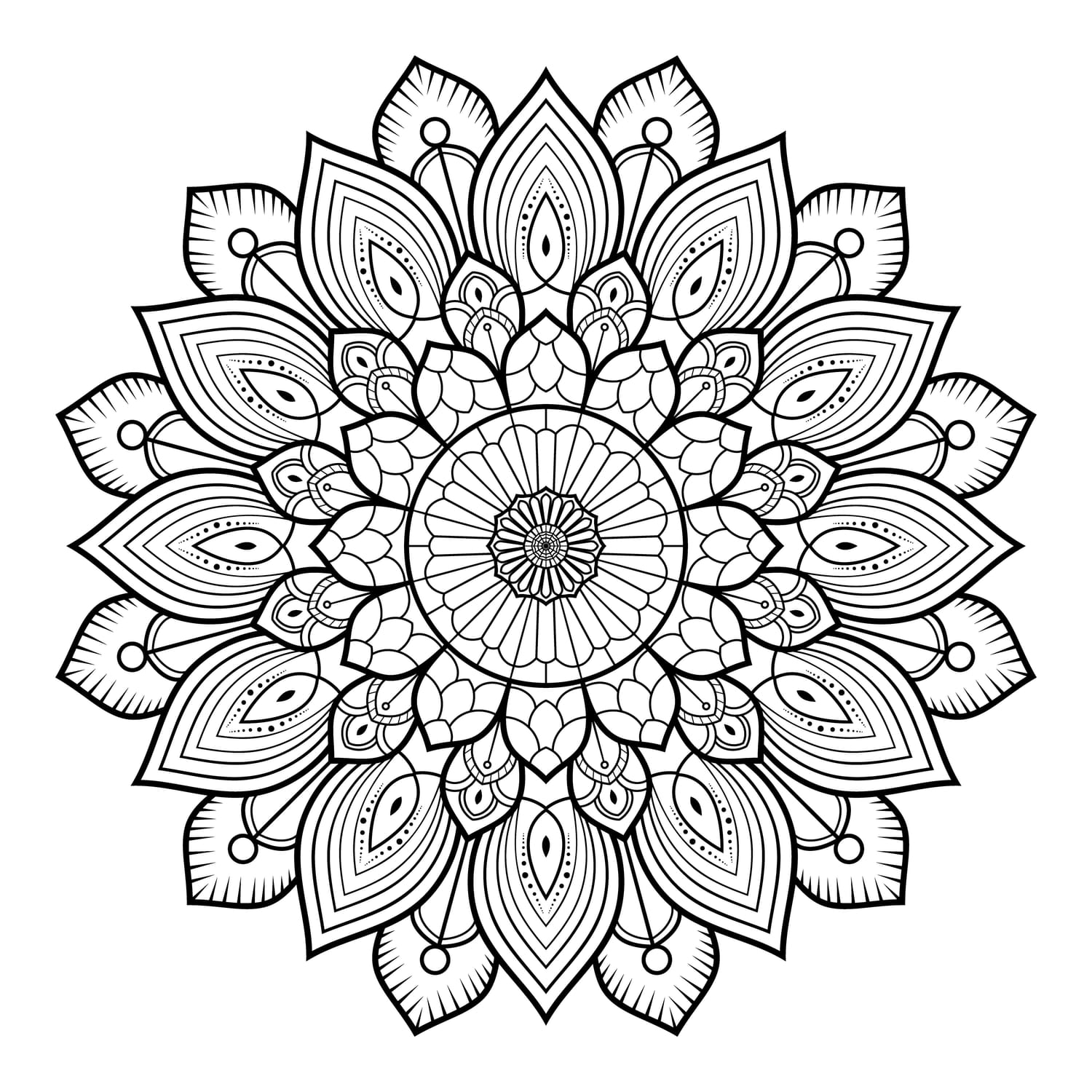 MDL-008