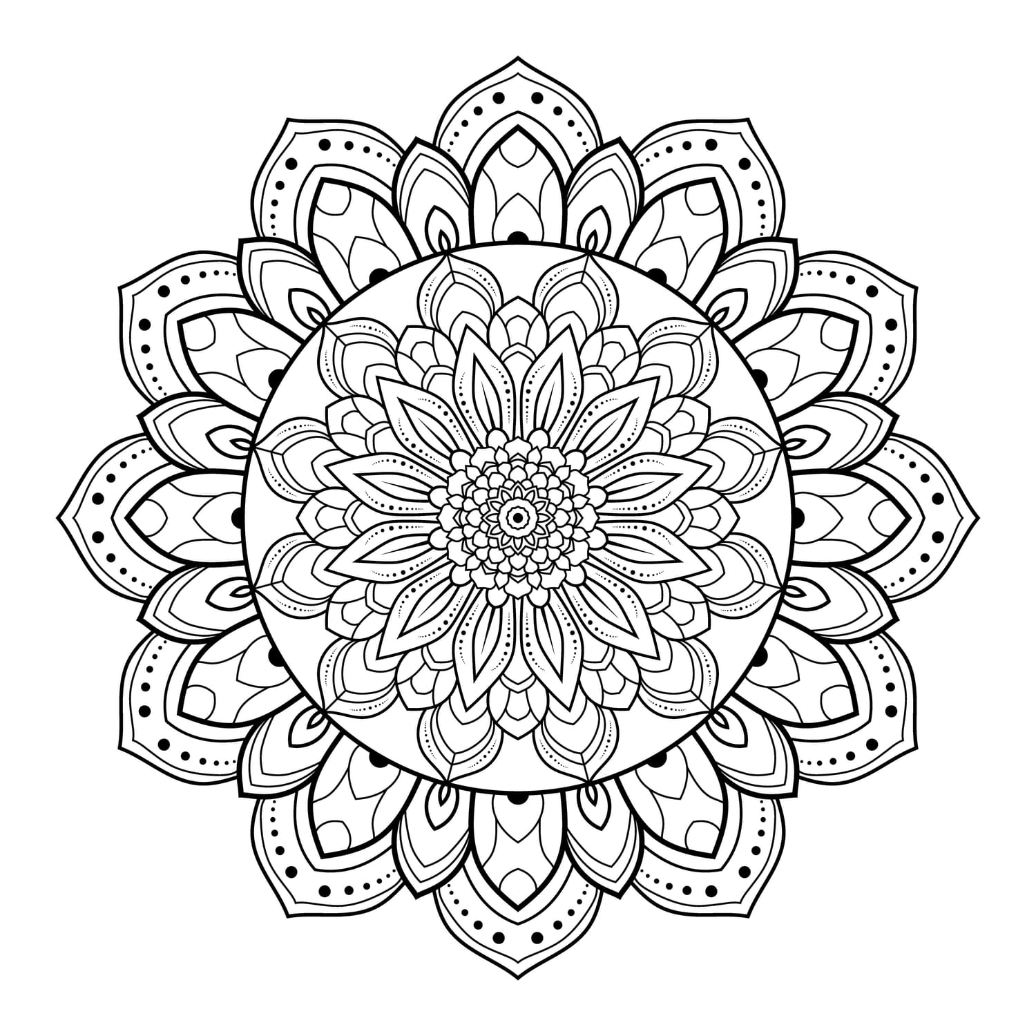 MDL-009