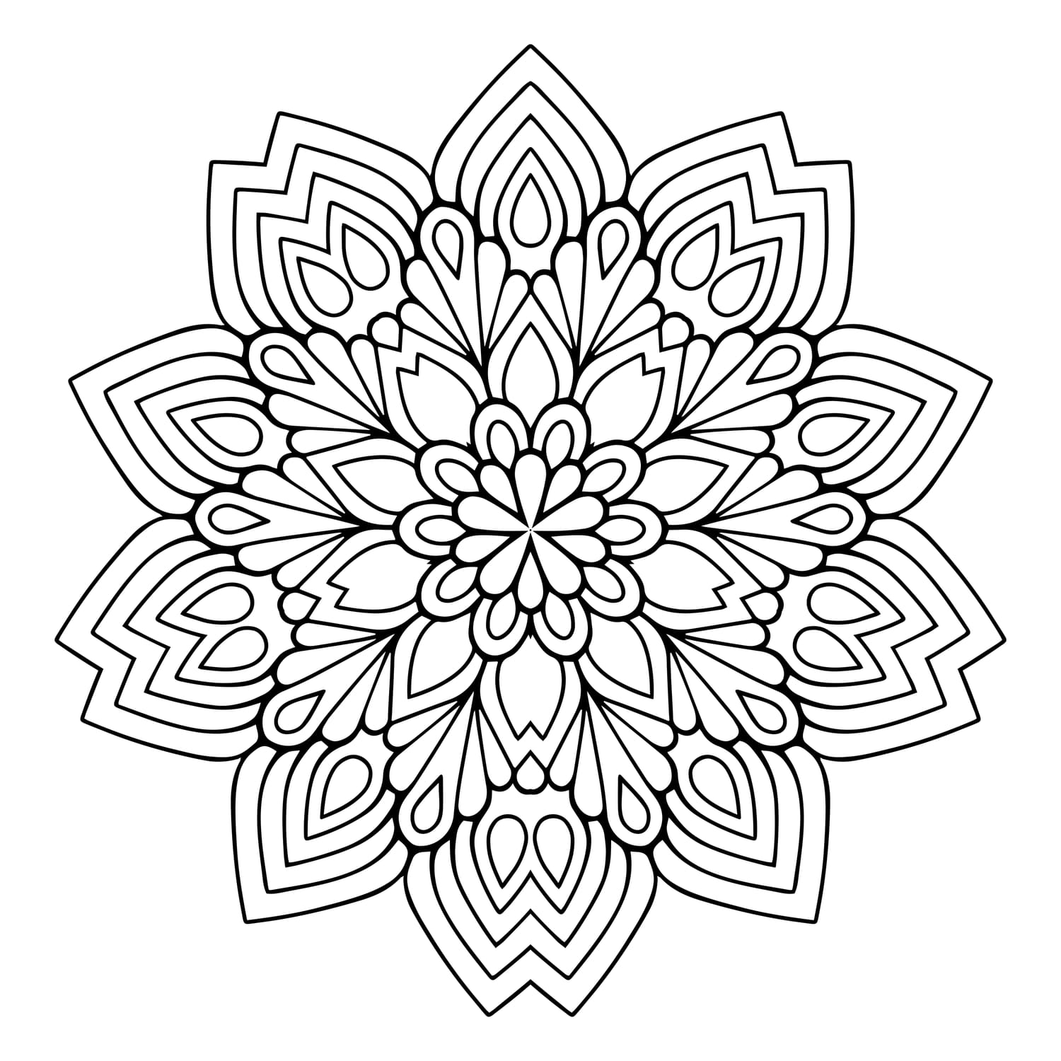 MDL-029