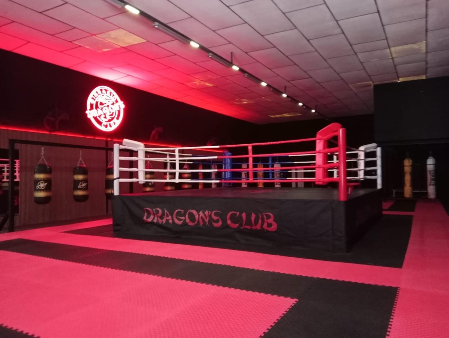 Ring y zona de artes marciales de Dragon's Club