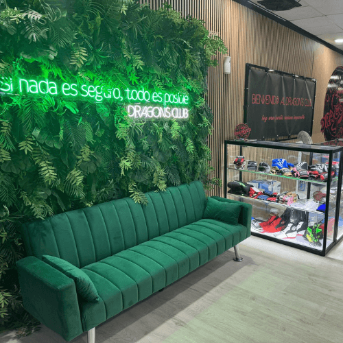 Zona social y recepción de Dragon's Club