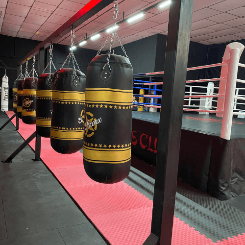 Sacos de boxeo de Dragon's Club