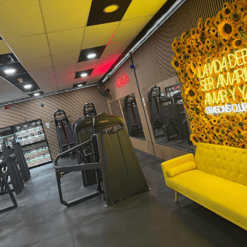 Zona fitness de Dragon's Club