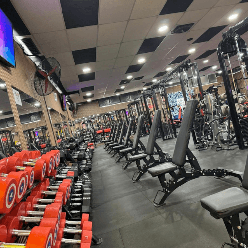Sala de musculación de Dragon's Club
