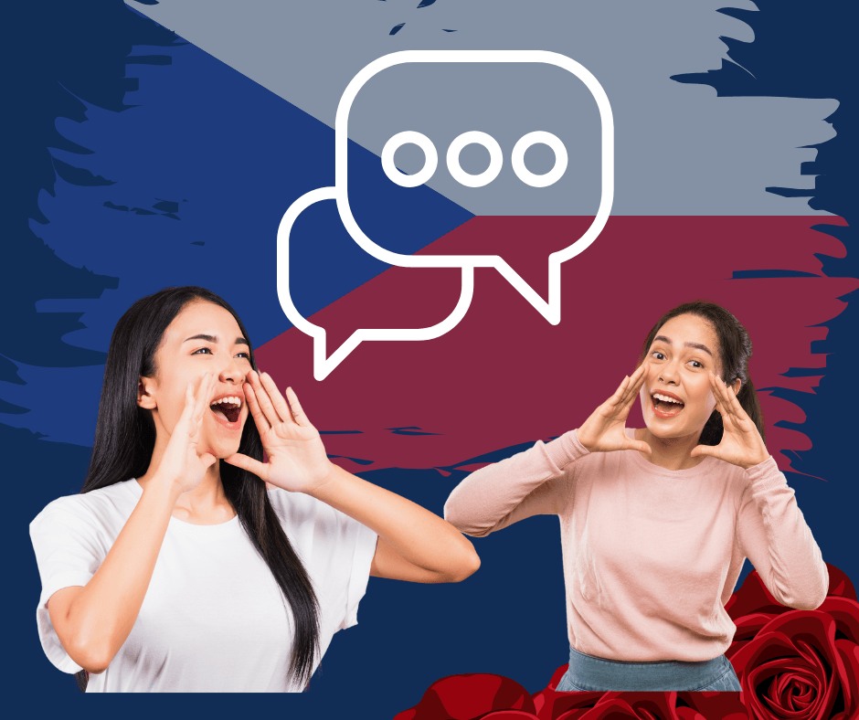 5 chyb v češtině-poznáváte se?